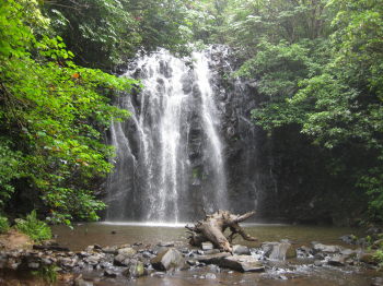 Wasserfall gegen Asthma